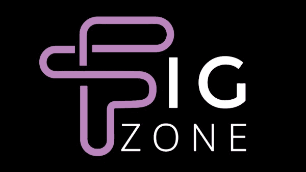 logo-figzone Logo de Figzone