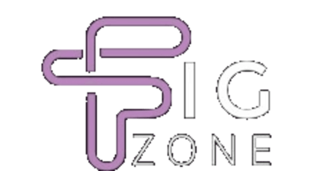 logo-figzone-transparente Logo de Figzone tienda virtual